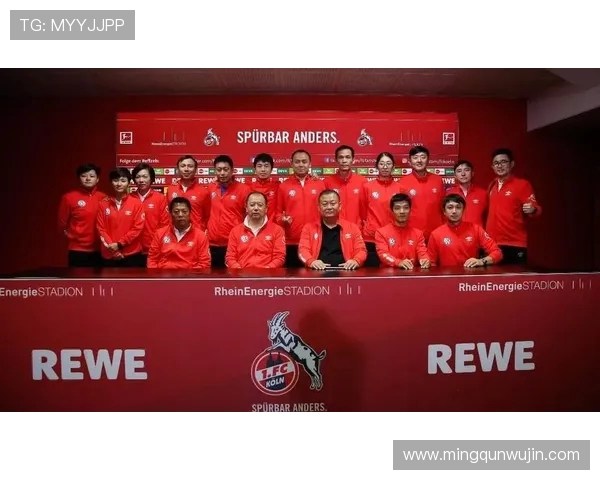 大众汽车在德甲的球队支持与合作情况