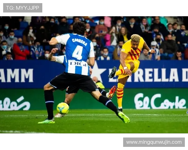 雪缘网提供的西甲积分榜与实时更新特点 雪缘网提供的西甲积分榜与实时更新特点